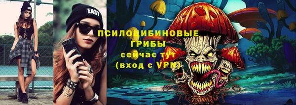 ПСИЛОЦИБИНОВЫЕ ГРИБЫ Армянск